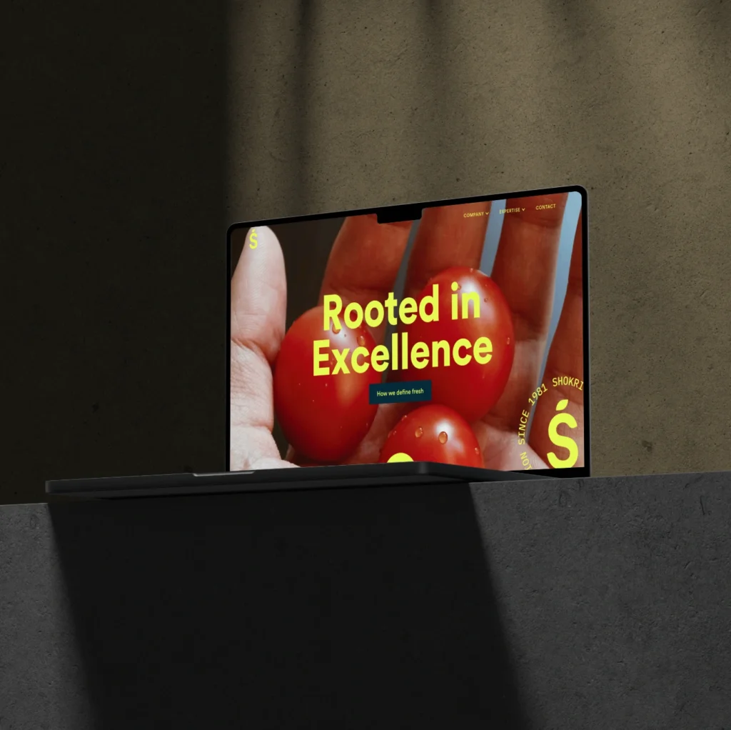 Shokri Company website displayed on a laptop
